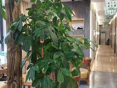 -艾柏堂8090经络·艾灸养生(御庭府邸店)