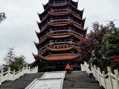 -铁山坪森林公园