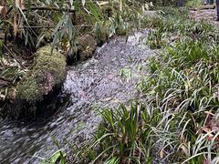 -龙苍沟森林公园
