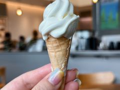 海盐水牛乳冰淇淋-SAANCI山池咖啡(海上世界文化艺术中心店)