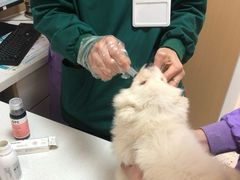 -瑞派康怡24h宠物医院·犬猫医疗中心·微创绝育(瑞景分院)