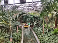 -南宫五洲植物乐园