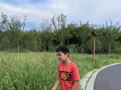 -南京市无想山景区