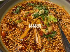 -辛香汇(飞洲店)
