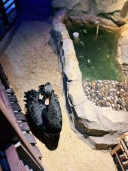 -酷嗒动物文化乐园(cutezoo西溪乐天城店)