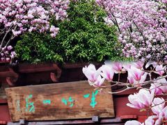 -八大山人梅湖景区