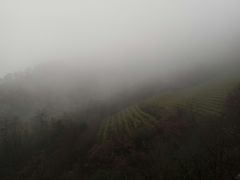 -敬亭山风景名胜区