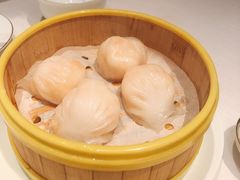 -东富酒家(龙湖西溪天街店)