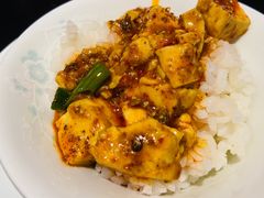 -陈麻婆豆腐总店