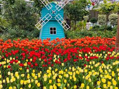 -南宫五洲植物乐园