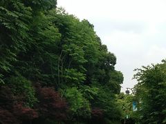 -杭州半山国家森林公园