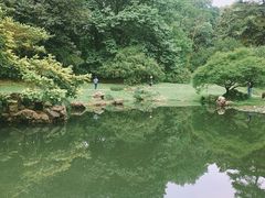 -杭州植物园