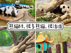 -广州长隆野生动物世界