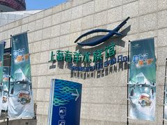 -上海海洋水族馆