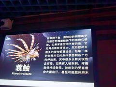 -太平洋海底世界