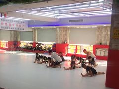 -津武堂散打搏击俱乐部(河西店)