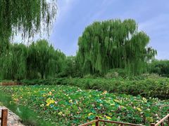 -燕郊植物园