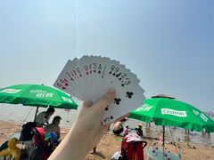 -碧海金沙