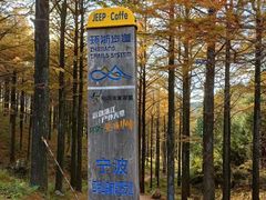 -四明山国家森林公园