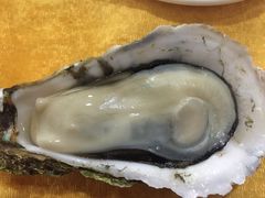 -蚝专家(北滘店)