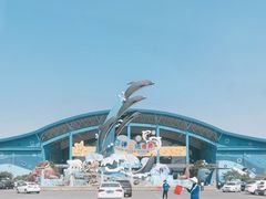 -泉城欧乐堡海洋极地世界