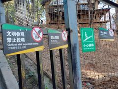 -昆明动物园