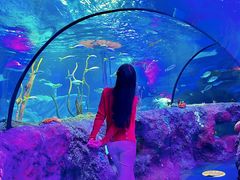 -沈阳海洋探索中心