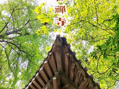 -灵谷景区