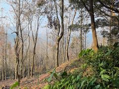 -广州市石门国家森林公园