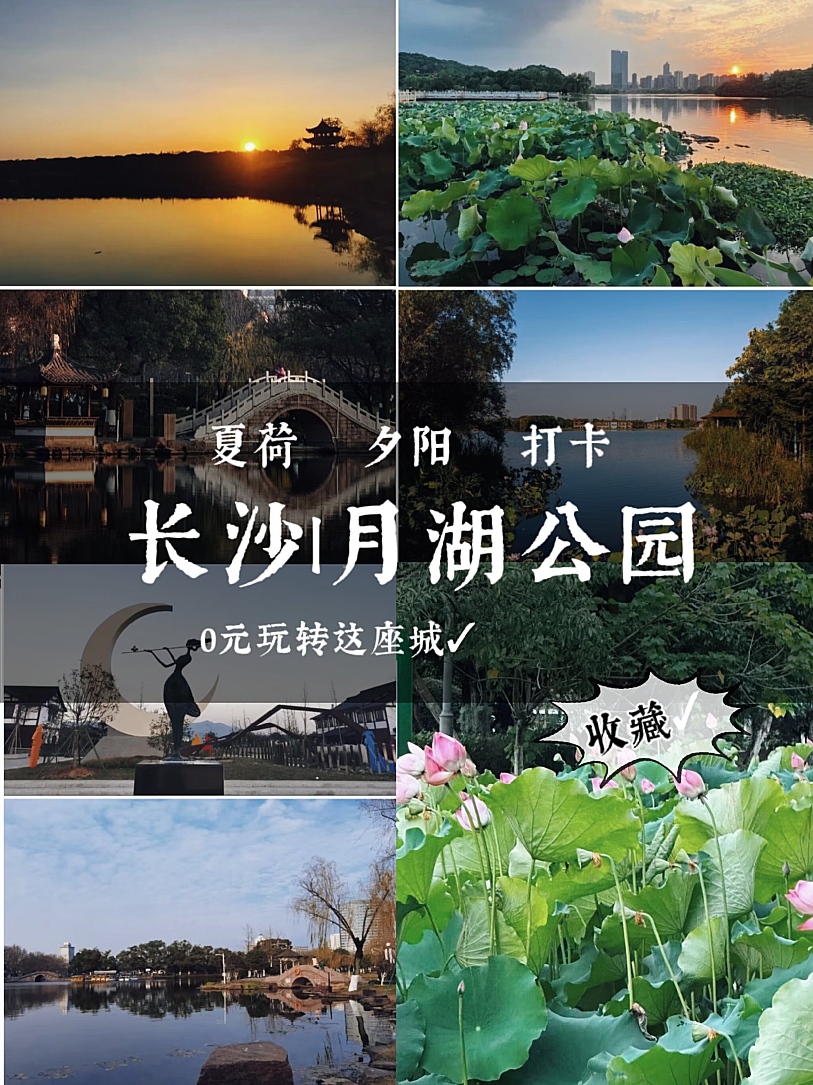 长沙月湖公园平面图图片