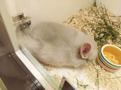 -龙猫仔乐园(惠福东路店)