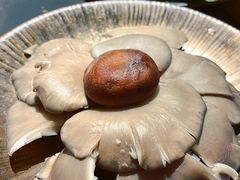 -羊大爷涮肉(亮马桥店)