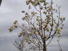 -廊坊文化艺术中心