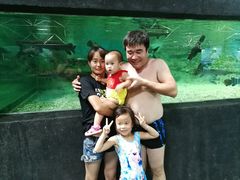 -秦皇岛乐岛海洋王国