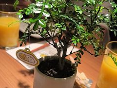 -CURRY YA 熟成咖哩專門店(深圳湾万象城店)