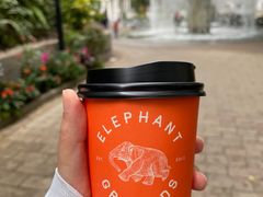 -Elephant Grounds(STARSTREET)