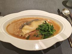-沈灶河豚宴·河豚融合餐厅(汉中路店)