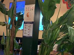 -Planda 普兰达·啤酒花园德国餐厅(观唐店)