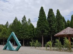 -捞渔河湿地公园
