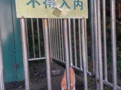 -大蜀山国家森林公园