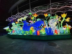 -海合安成都极地海洋公园