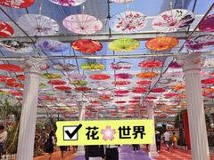 -广东花都香草世界旅游度假区