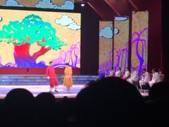 刘老根大舞台(正阳街分部)-大舞台剧场