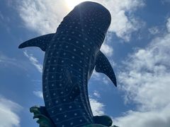 -珠海长隆海洋王国