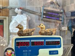 -达记卤菜店(红庙店)