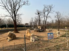 -秦皇岛野生动物园