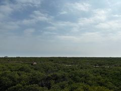 -北海金海湾红树林生态旅游区