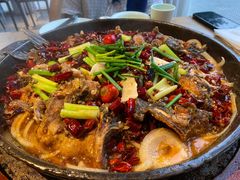 -老板恋上鱼(恒隆广场店)