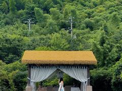 -看见远方·莫干遥远的山民宿
