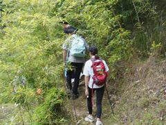-桂山风景旅游区
